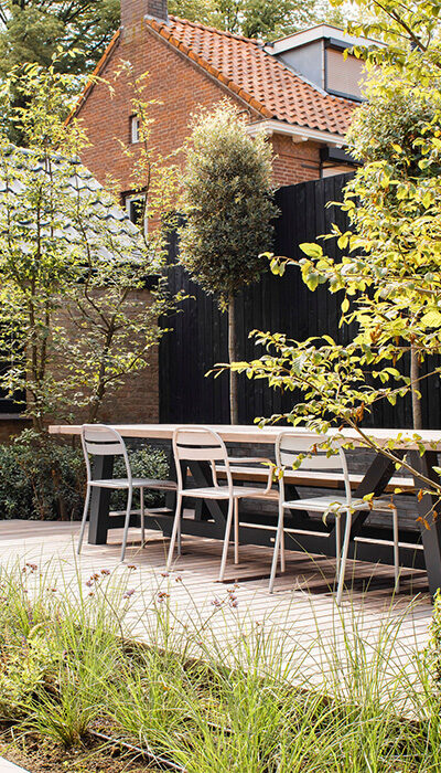 Groene_patiotuin_Molengraaf_Tuinen_tumb